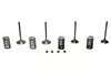 Wiseco 02-06 CRF450R Steel Valve Set - SVKB1403 Photo - Primary
