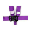 RaceQuip Purple L & L 5pt Seat Belt - 711051RQP Photo - out of package