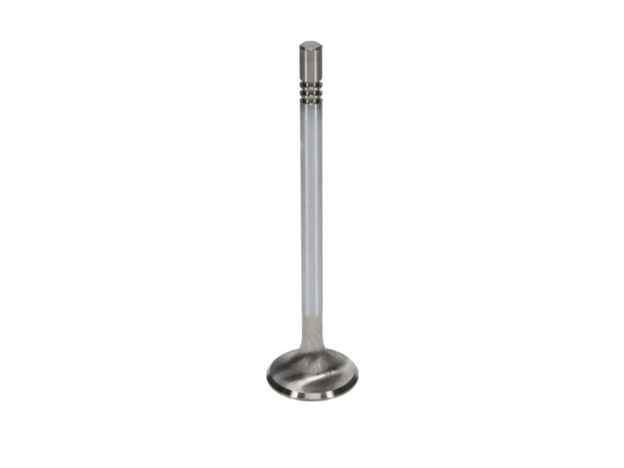 Manley 99-12 Ford 4.6L/281 5.4L/330 V8 37mm Race Series Stainless Steel Intake Valves (Set of 8) - 11639-8 User 2