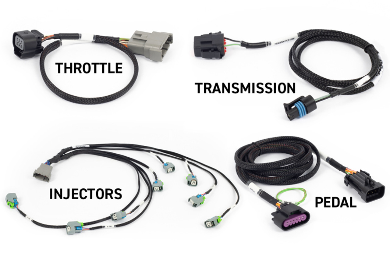 Haltech NEXUS Rebel LS Kit (Suits Gen IV) 6-Pin DBW Throttle/EV6 Injectors/Manual Transmission - HT-220204 User 1