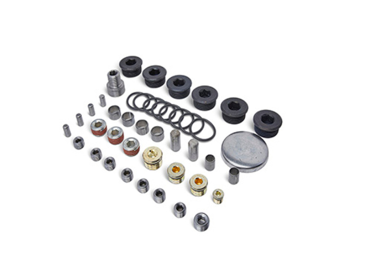Ford Racing Block Plug and Dowel Kit (For Z Blocks) - M-6026-ZBLOCK User 1