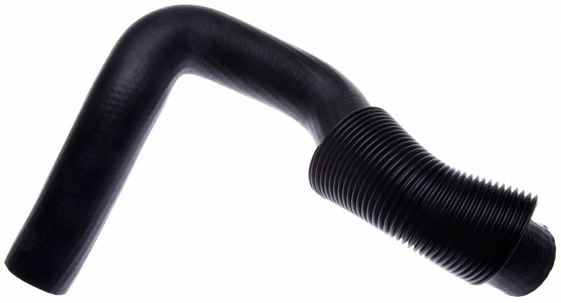Gates 91-94 Ford Ranger V-6 4.0L Lower Molded Coolant Hose - 21736 Photo - Primary