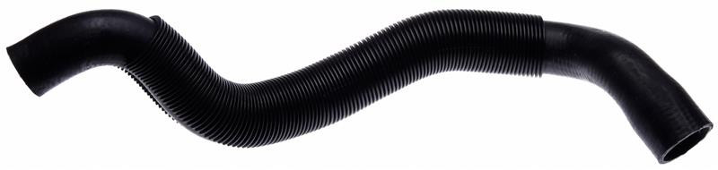 Gates 94-99 Chevrolet P Series Van V-6 4.3L Lower Molded Coolant Hose - 22169 Photo - Primary