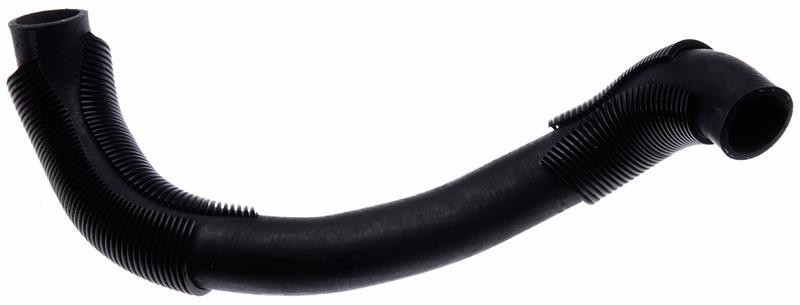 Gates 95-01 Nissan Maxima V-6 3.0L Lower Molded Coolant Hose - 22184 Photo - Primary
