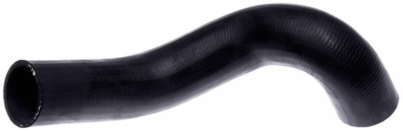Gates 05-11 Dodge Dakota V-6 3.7L Lower Molded Coolant Hose - 23042 Photo - Primary