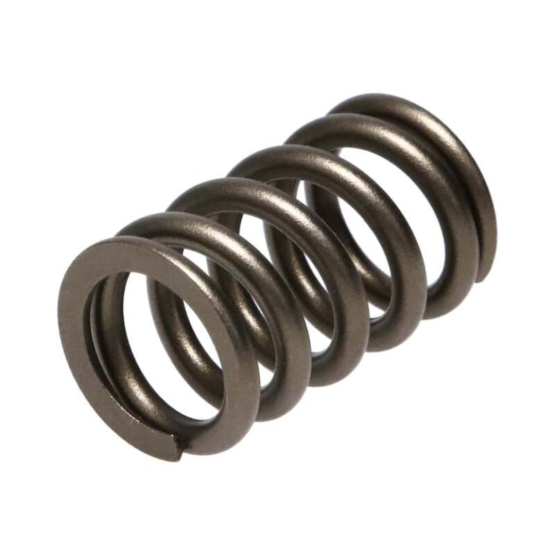 Manley Valve Spring, SPRING-NISSAN PATROL TB48 - 22155-24 Photo - out of package