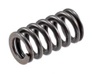 Melling 2v V10  valve springs, 20ea