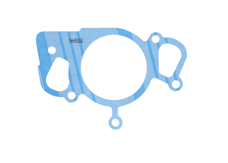 Fel-Pro Ford Thunderbird 35846 Engine Water Pump Gasket - 35846 Photo - Primary
