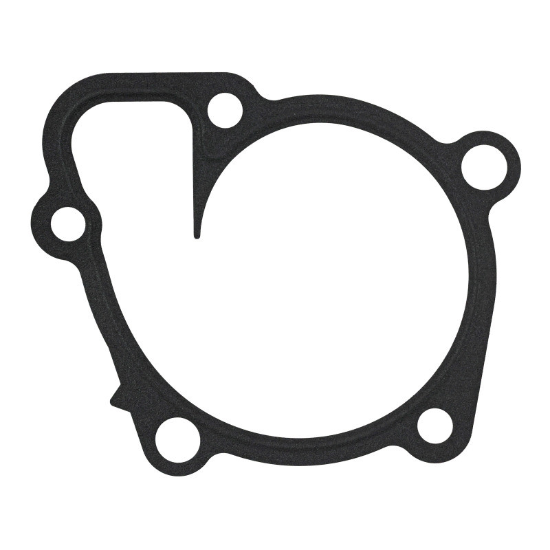 Fel-Pro Hyundai Sonata 36168 Engine Water Pump Gasket - 36168 Photo - Primary