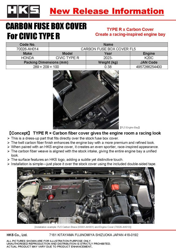 HKS DRY CARBON FUSE BOX COVER FL5 - 70026-AH014 Photo - Close Up