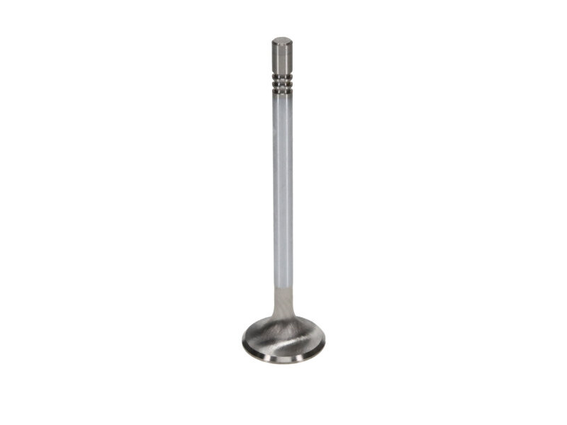 Manley Ford Modular Coyote 5.0L Gen III Race Master Series Exhaust Valve - 1.260in Dia - 12629-1 User 2