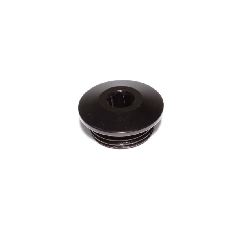 Edelbrock ALUMINUM PORT PLUG, -12AN - 549200-1 Photo - Primary