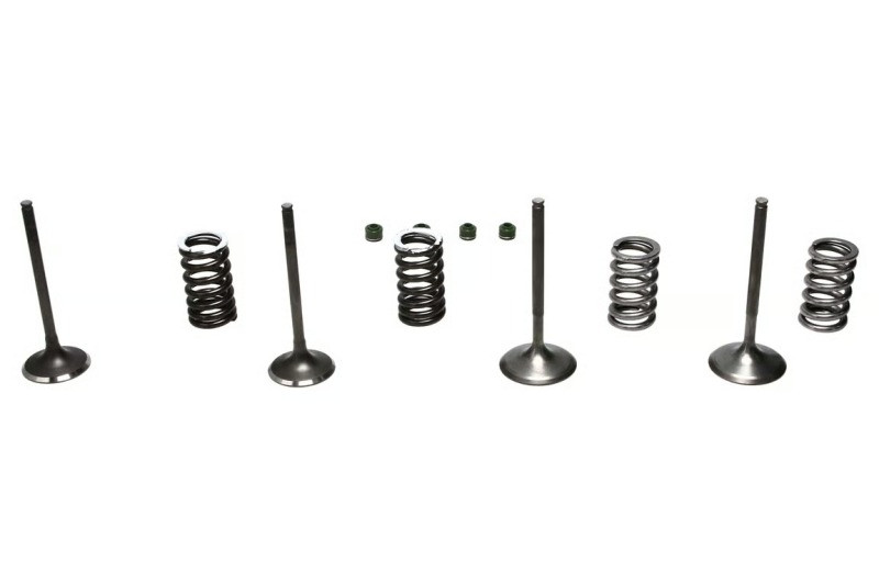 Wiseco 02-06 CRF450R Steel Valve Set - SVKB1403 User 1
