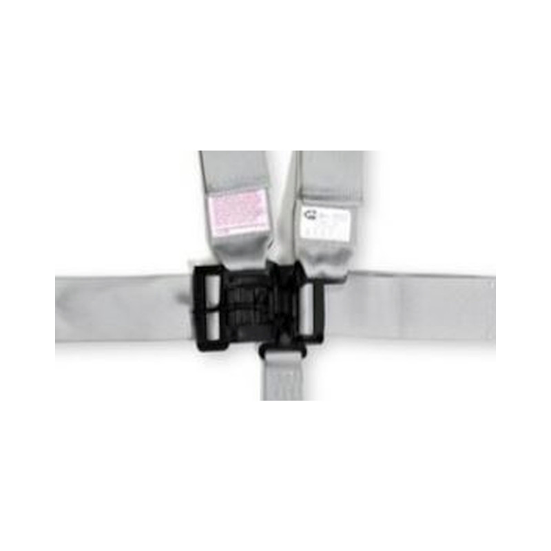 RaceQuip Platinum L & L 5pt Seat Belt - 711061RQP Photo - out of package