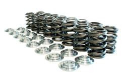 Manley Nissan Patrol TB48 Valve Spring and Retainer Kit (Use factory valve locks) - 26155 Photo - Primary