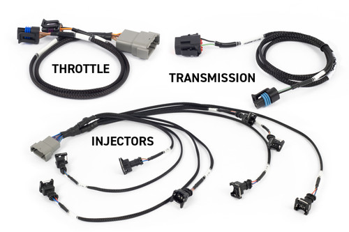 Haltech NEXUS Rebel LS Kit (Suits Gen III) Cable Throttle/EV1 Injectors/Manual Transmission - HT-220201 User 1