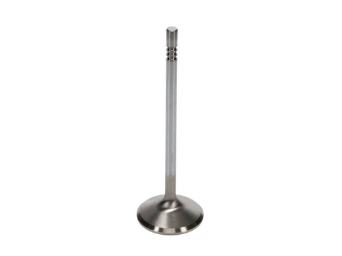 Manley Ford 4.6L Modular V8 Exhaust Valve Kit - 38.50mm Head Dia. 4.585in O/A Length, 0.2345in Stem - 11633B-8 User 2