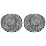 For Toyota 4Runner Fog Light 2006 07 08 2009 CAPA Certified (CLX-M0-19-5714-01-9-CL360A57-PARENT1)