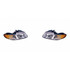 CarLights360: For 2000 Dodge Caravan Headlight Assembly w/Bulbs CAPA Certified (CLX-M1-332-1110L-ACN-CL360A2-PARENT1)