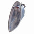 For Mercedes-Benz SLK 1998-2004 Signal Light Assembly (CLX-M1-439-1509L-AS-PARENT1)