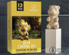 Wood Carving Beginners Bear Kit