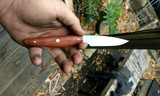 Paring 90 knife by Riley Burns