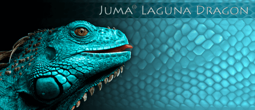 Juma Laguna Dragon, Handle Scales x 2