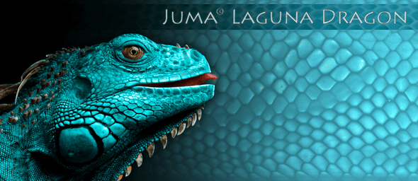 Juma Laguna Dragon material label