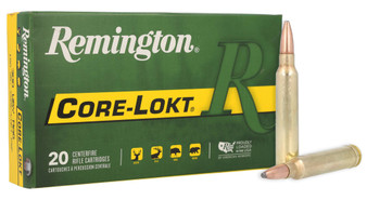 REM 300 180GR CORE PSP 20RD
