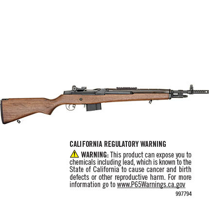 SPRINGFIELD M1A SCOUT WAL 10RD