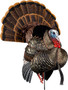 AVIAN X HDR STRUTTER DECOY