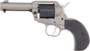RUGER WRANGLER 22LR 3.75" - FS 6-SH SILVER BIRDSHEAD GRIP