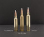 NOSLER TROPHY GRADE LR 26 - NOSLER 142GR ABLR 20RD 10BX/CS
