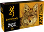 Browning Ammo B192302431 BXV Predator & Varmint 243Win 65gr Varmint Expansion Polymer Tip 20 Per Box/10 Case