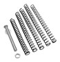 TRUE 365XLSTK       RECOIL SPRNG TUNING KIT P365XL