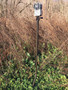 HME TRAIL CAM GROUND MOUNTING - STICK ADJUSTABLE 26"-36"