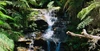 The Water Rule