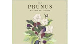 Prunus