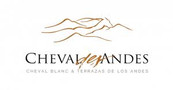 Cheval des Andes