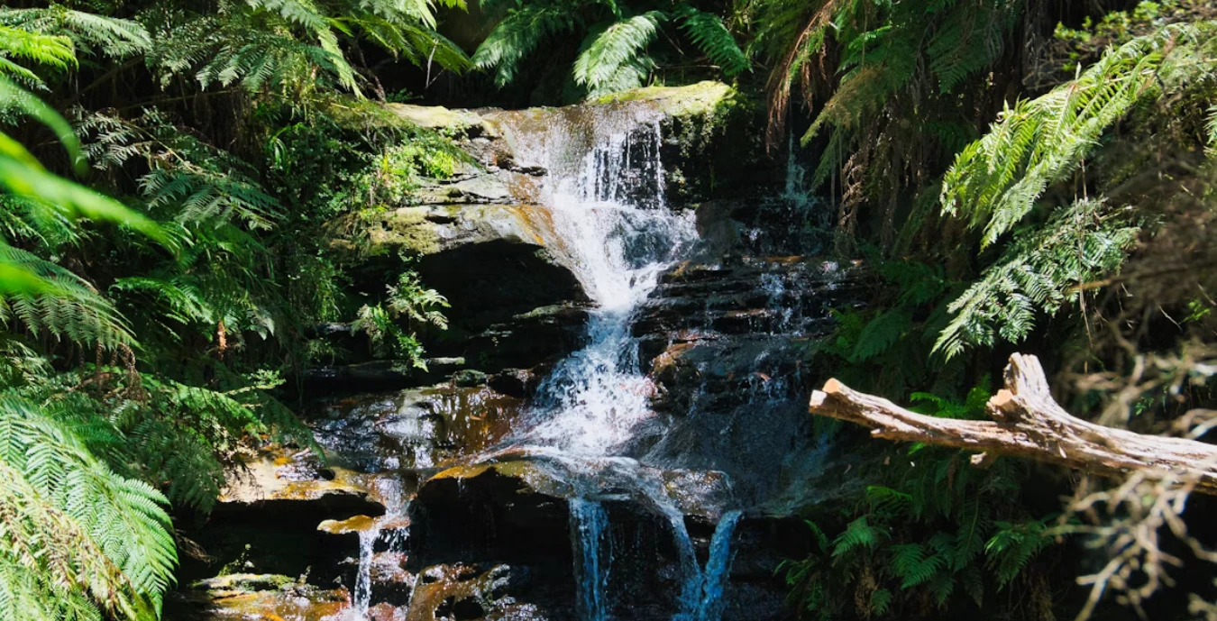 The Water Rule
