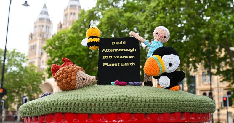 A Century of Wonder: Celebrating Sir David Attenborough’s 100th Birthday