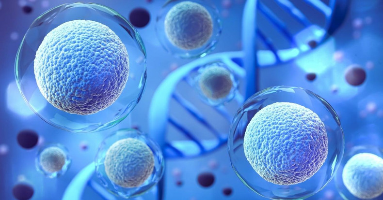 Researchers Program Human Cells to Execute Complex Medical Logic