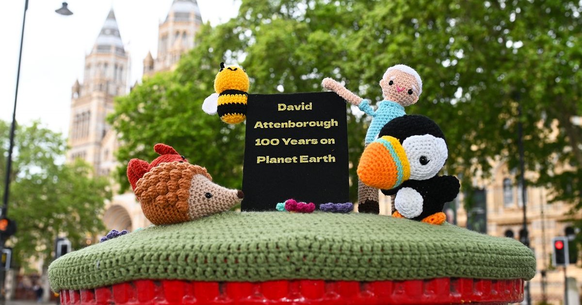A Century of Wonder: Celebrating Sir David Attenborough’s 100th Birthday