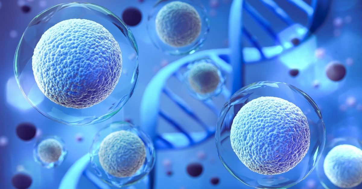 Researchers Program Human Cells to Execute Complex Medical Logic