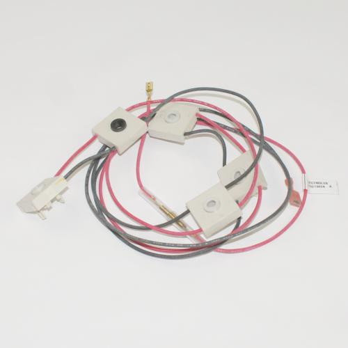 Electrolux 316219024 Wiring Harness,w/igntr Switch