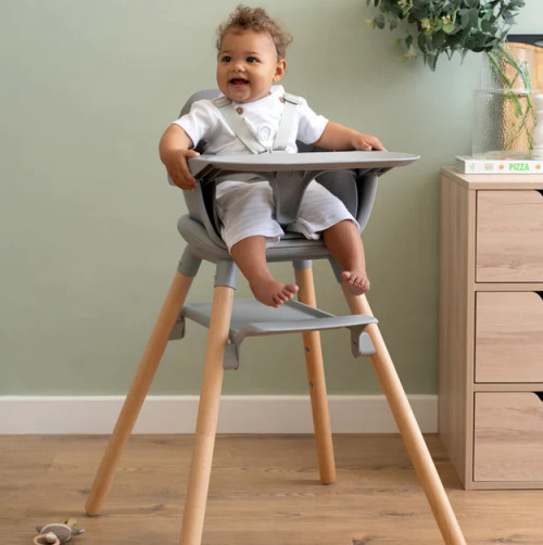 Clair De Lune 6in1 Eat & Play High Chair