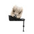 Cybex Sirona G3
