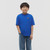 Tommy Hilfiger Vibrant Blue Flag Heritage T-Shirt