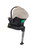 Dune + Compact Folding Carrycot + Ultimate Pack - Stone - £1395