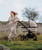 Venicci Tinum Edge Dust 3 in 1 With Isofix Engo Base